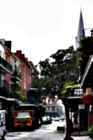 [picture: Luscious Street]