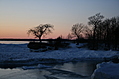[Picture: Tree and snow]