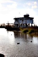 [picture: Bird-watching hide]