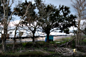 [picture: FEMA Camp 3]