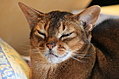 [Picture: I can see just fine like this.]