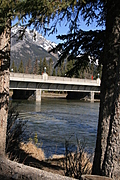 [Picture: img_2262-333x500.jpg]