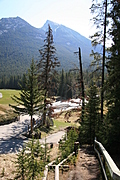 [Picture: img_2338-333x500.jpg]