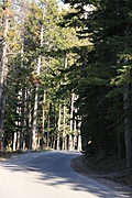 [Picture: Winding road]