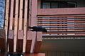 [Picture: Aspen Lodge (where I did stay, but nevermore)]
