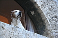[Picture: ]