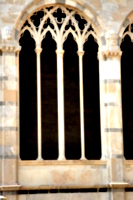 [picture: Tracery]