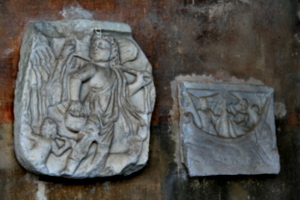 [picture: Fragments A and B]