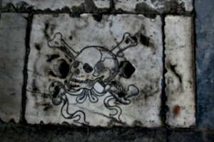 [picture: Stylized Skull and Crossbones 2]