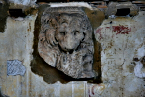 [picture: Fragment with animal head]