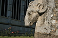 [Picture: Sheep]