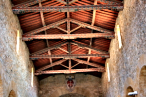 [picture: Basilica 4]