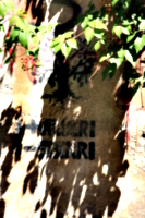 [picture: Graffiti]