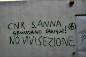 [picture: Graffiti]