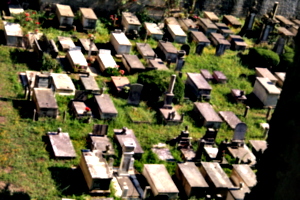 [picture: Jewish Cemetary 3: field of dreams]