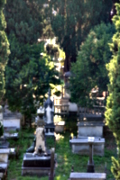 [picture: Jewish Cemetary 6: A quiet shelter]