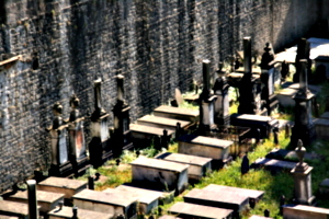 [picture: Jewish Cemetary 8: broken columns]