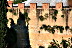 [picture: Jewish Cemetary 19: City wall]