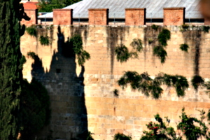 [picture: Jewish Cemetary 20: City wall]
