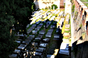 [picture: Jewish Cemetary 22: Looking down]
