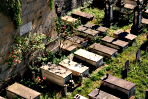 [picture: Jewish Cemetary 28: Graves and Roses 2]