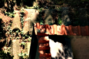 [picture: Jewish Cemetary 30: More tombs]