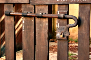 [picture: Jewish Cemetary 32: The gate is closed]
