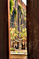 [picture: Jewish Cemetary 35: Through the gate]