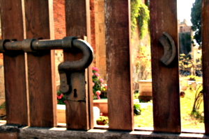 [picture: Jewish Cemetary 36: Locked]
