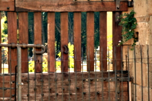 [picture: Jewish Cemetary 38: through the gate 1]