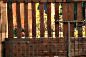 [picture: Jewish Cemetary 39: through the gate 2]