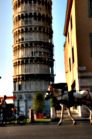 [picture: Horse and Carriage 1]