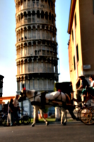 [picture: Horse and Carriage 2]