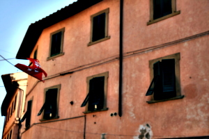 [picture: Windows and Walls]
