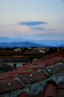 [picture: Evening cathedral 12]