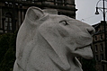 [Picture: George Square 3: Stone lion 1]