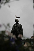[Picture: img_6337-333x500.jpg]