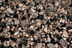 [picture: Rusted padlock on small pebbles]