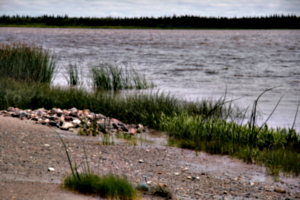 [picture: Marshes]