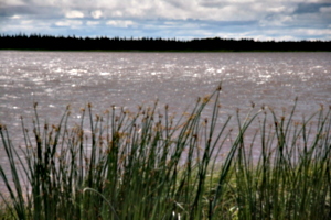 [picture: Moose River Sparkles]
