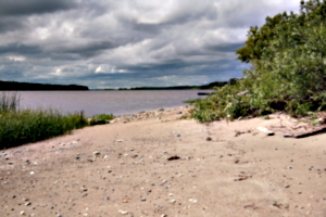 [picture: Sandy beach 1]