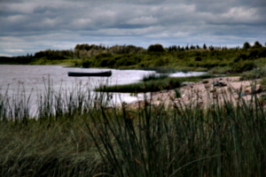 [picture: Canoe]