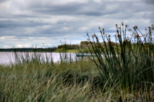 [picture: Canoe 2]