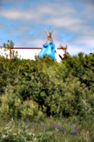[picture: Teepee 2]