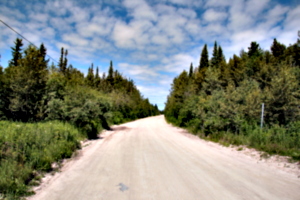 [picture: Dirt Road]