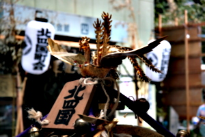 [picture: Golden hoo]