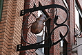 [Picture: Scarab beetle sign]
