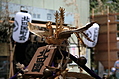 [Picture: Golden hoo]