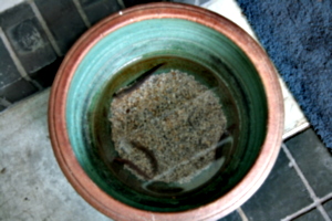 [picture: Chinese restaurant 3: Fish in bowl]
