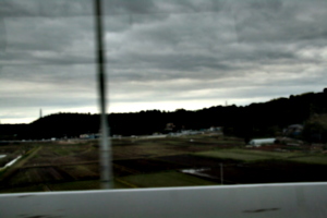 [picture: Fields]